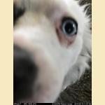 IMG_4493.JPG   27.2K